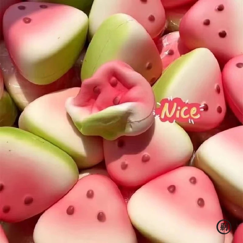 Squishy Watermelon Fidget Toy