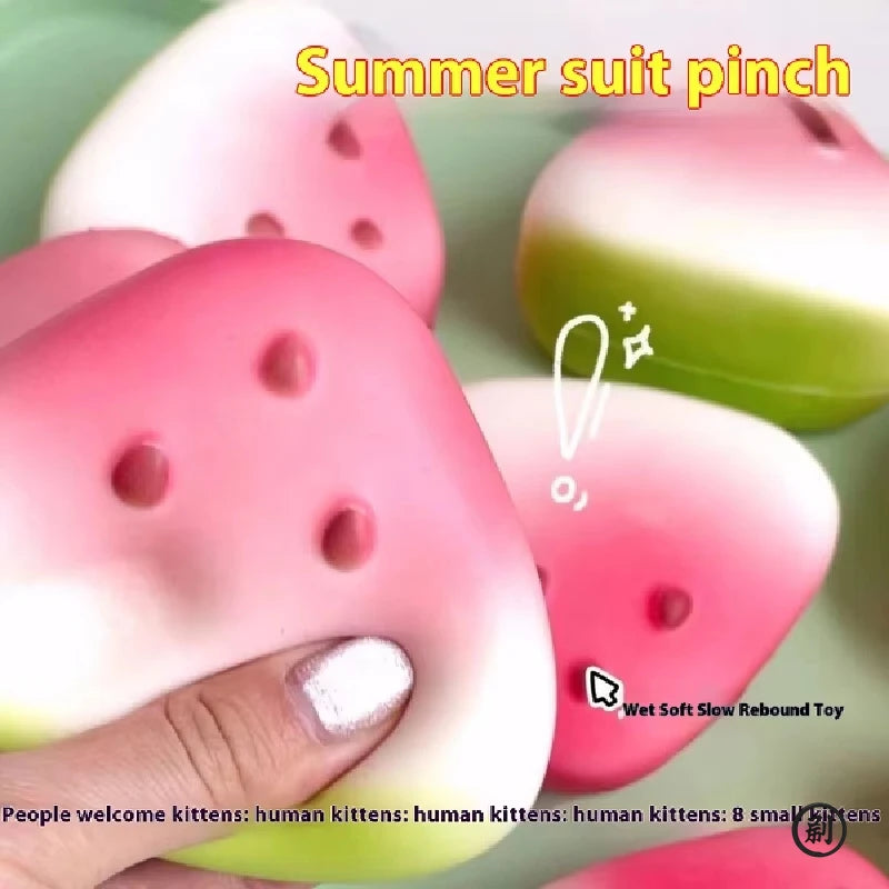 Squishy Watermelon Fidget Toy
